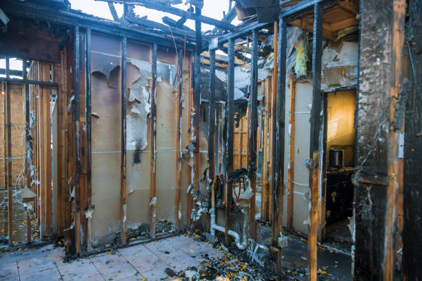 Professional Soot Removal technician working in Cooksville, MD